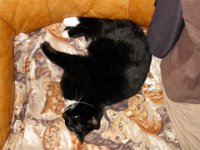 Filou-Dec 2006-4